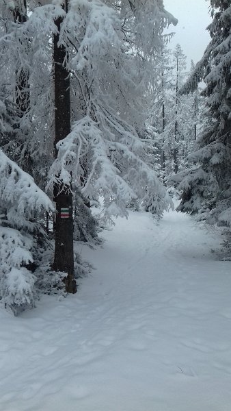 122211 01.jpg